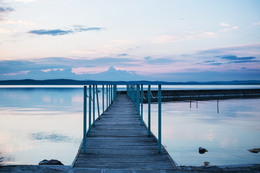 brown boardwalk between body of water