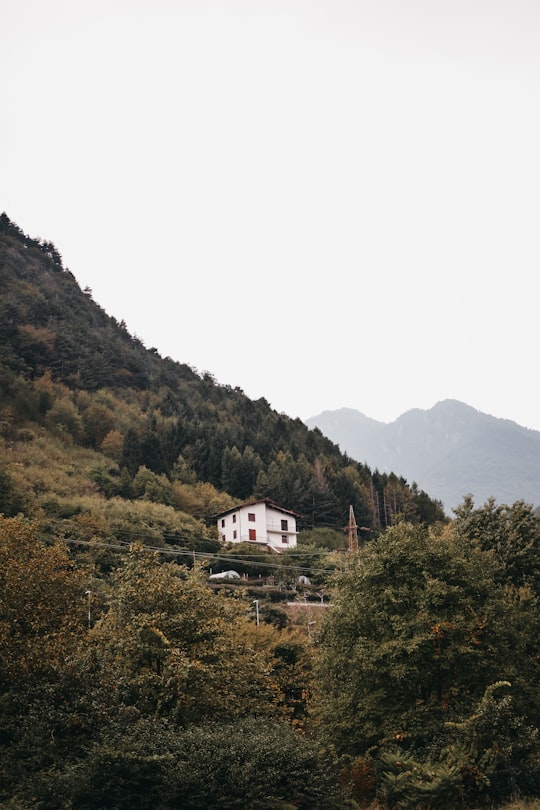 white concrete house near tree in Lake Idro Italy