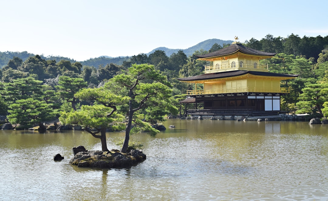 yellow and brown structure beside body of water