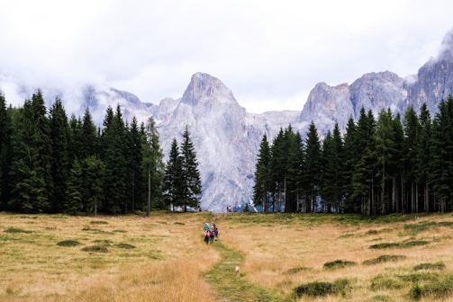 A family hiking along a forested path with mountains in the background.