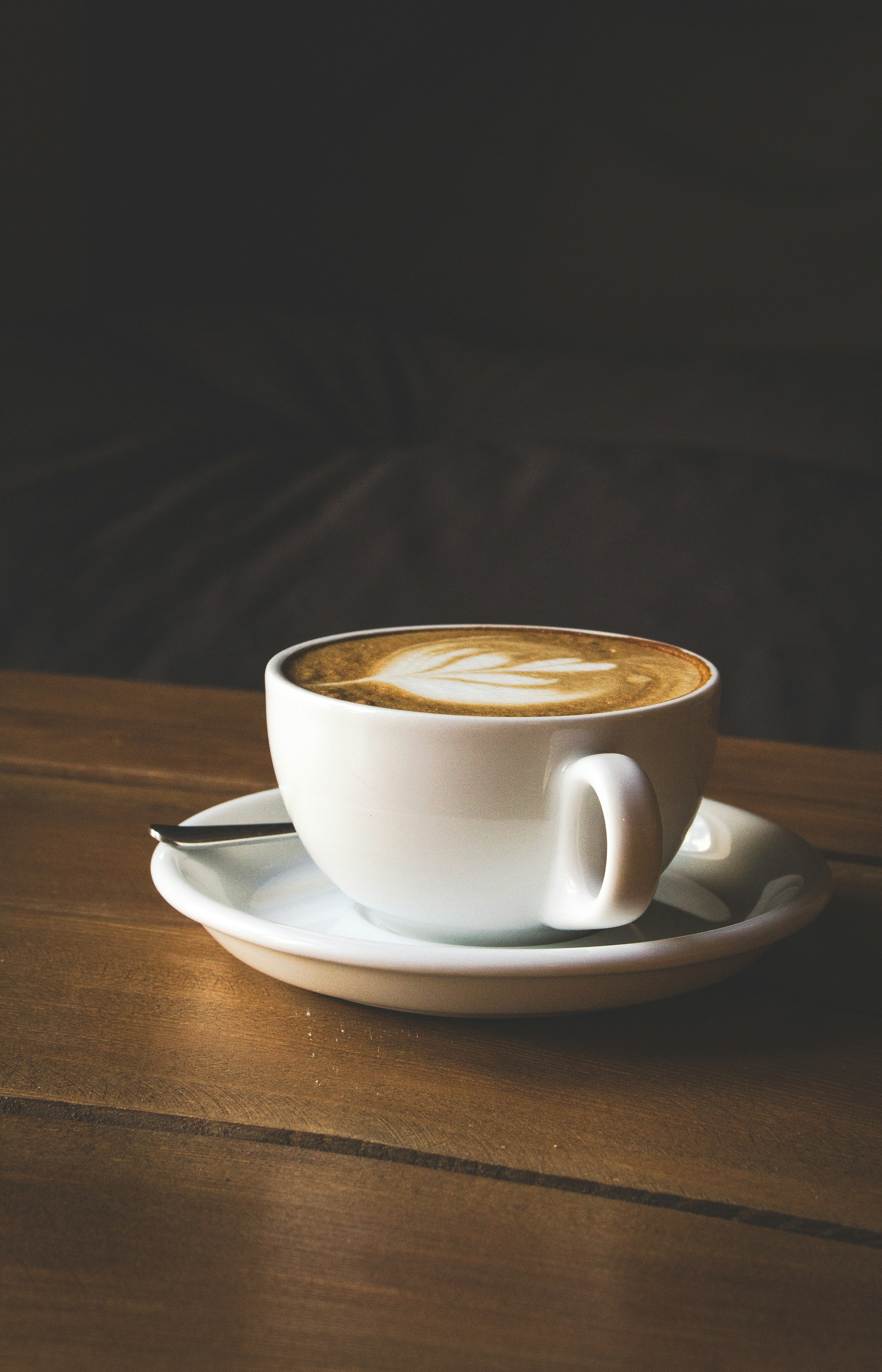 Photo by moonofviolet