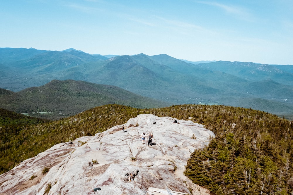 trees and mountains