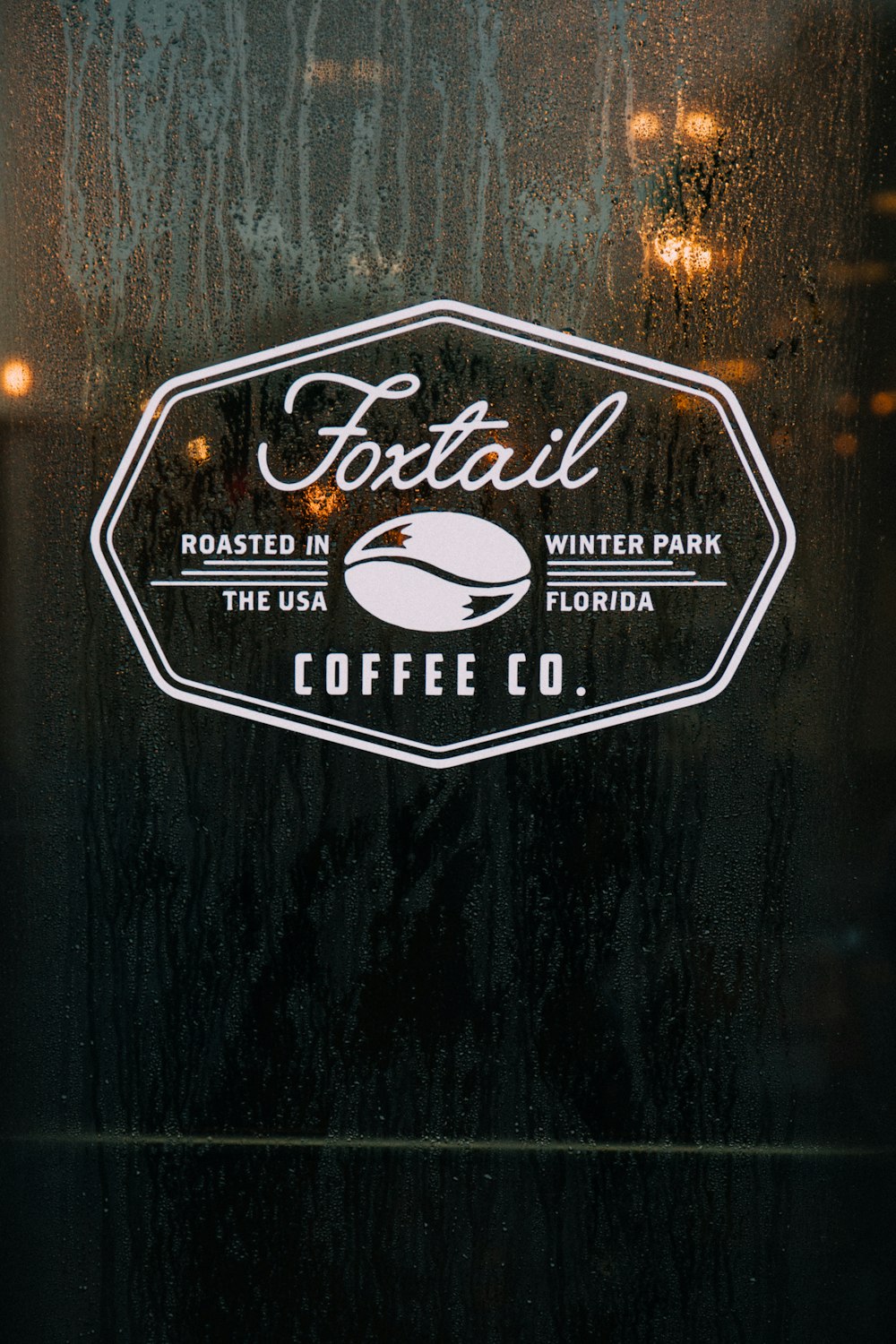 person showing Foxtail logo