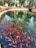 A vibrant pond filled with numerous brightly colored koi fish swimming near the surface. The water is clear and reflects the surrounding wooden fences and lush greenery. Trees and plants in the background add a tranquil, natural atmosphere to the setting.