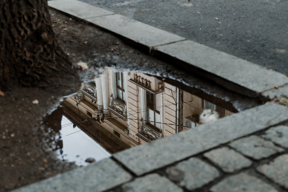 body of water with reflection of beige painted building