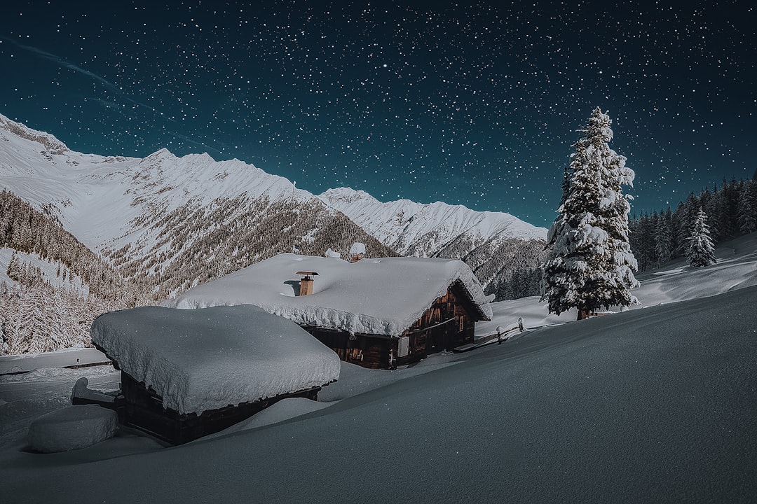 snow covered house roof beside pine tree under starry night