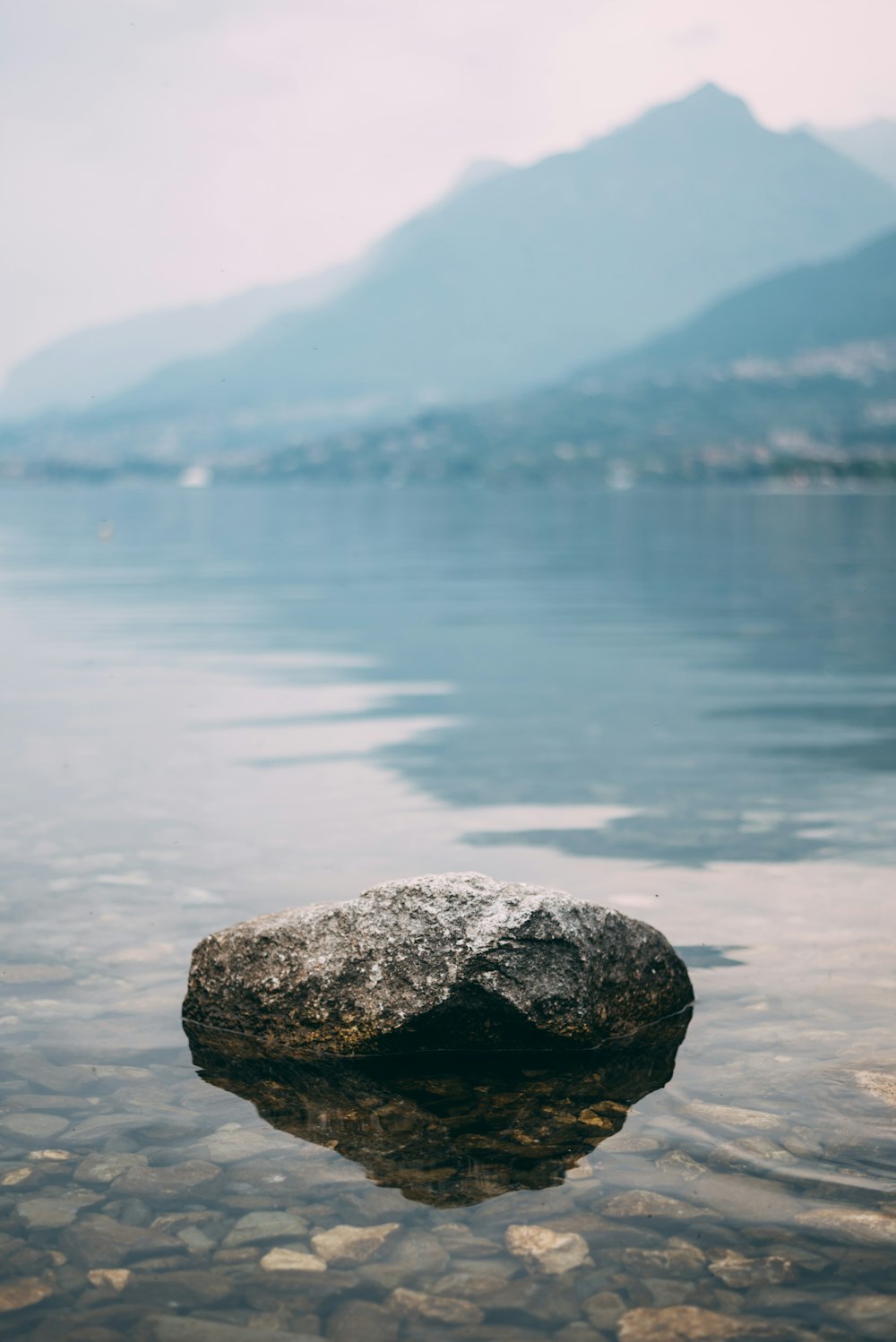 selective focus photography of stone at daytime