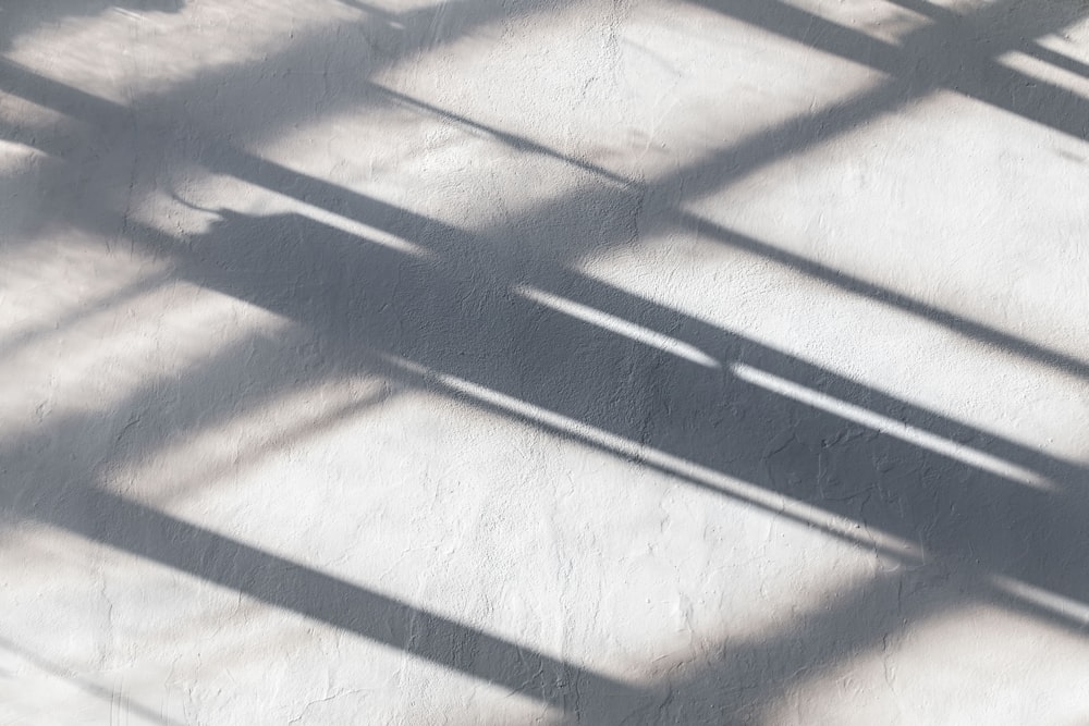 sombras projetadas em uma parede e piso brancos