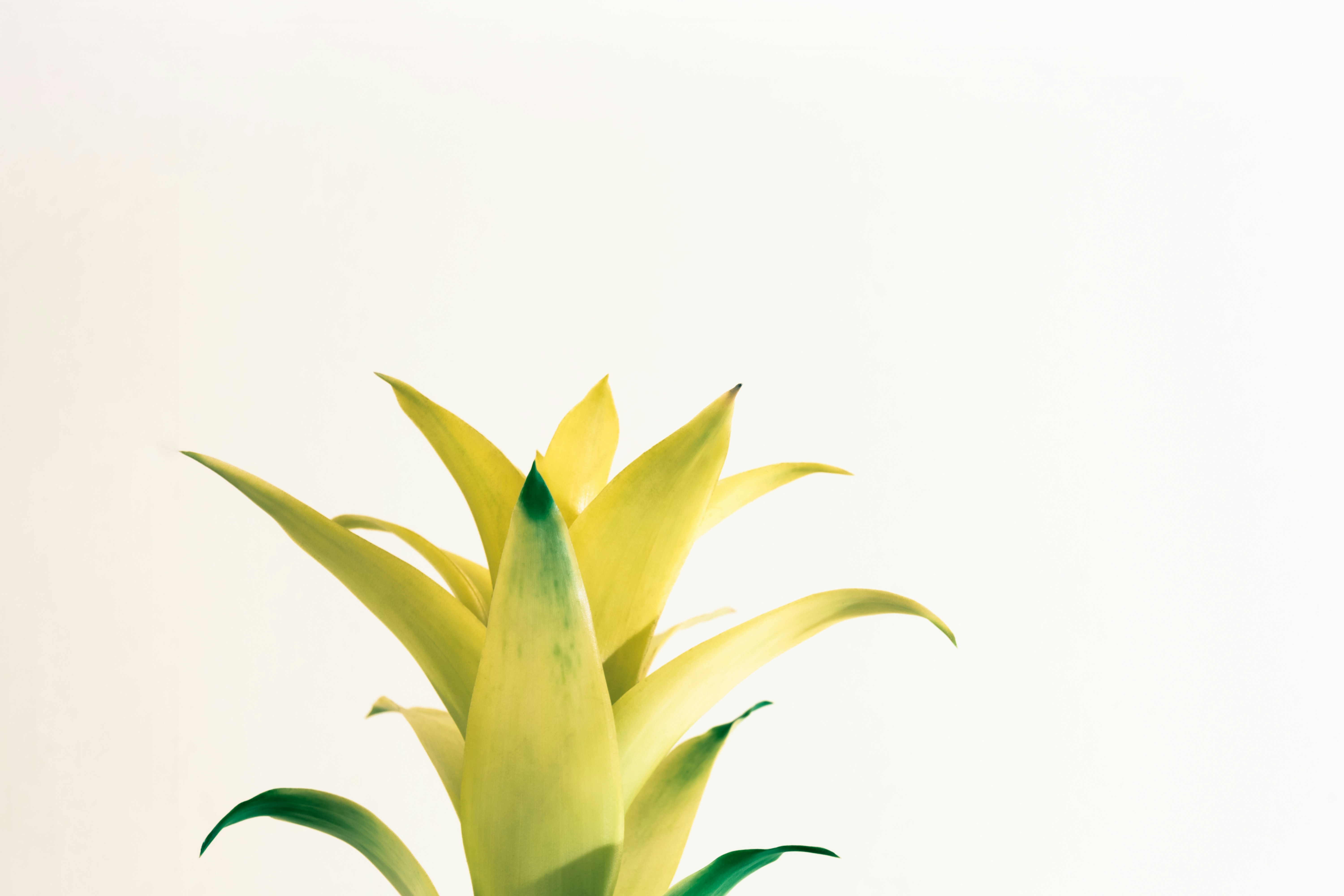 Photo by pawel_czerwinski