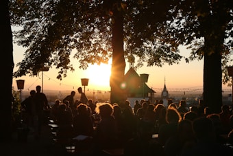 A vibrant outdoor setting at sunset where a group of people are gathered, sitting under large trees. The backlit scene features silhouettes, with the warm glow of the sun creating a captivating atmosphere. There are string lights hanging across, and in the background, a distant view of a cityscape is visible with a prominent pointed tower.