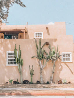 a house with a cactus garden in front of it