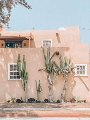 Sun-drenched patio of a southwestern style house.