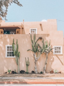 A southwestern-style adobe house with a smooth stucco finish is adorned with large green cacti in the front yard. Two windows with white frames are visible on the tan-colored wall, casting long shadows. The clear blue sky and some greenery add to the serene outdoor setting.