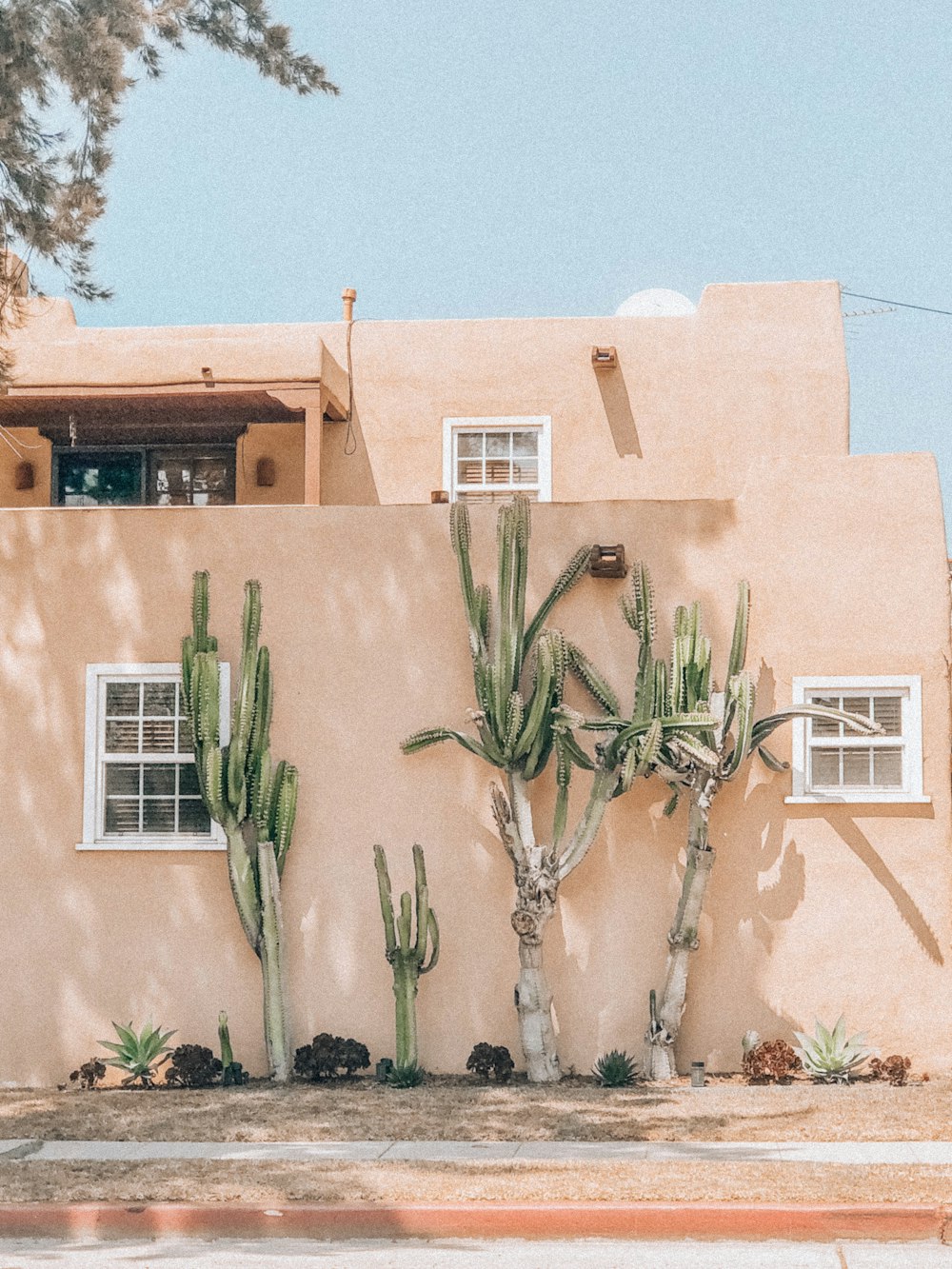 Una casa con un jardín de cactus frente a ella