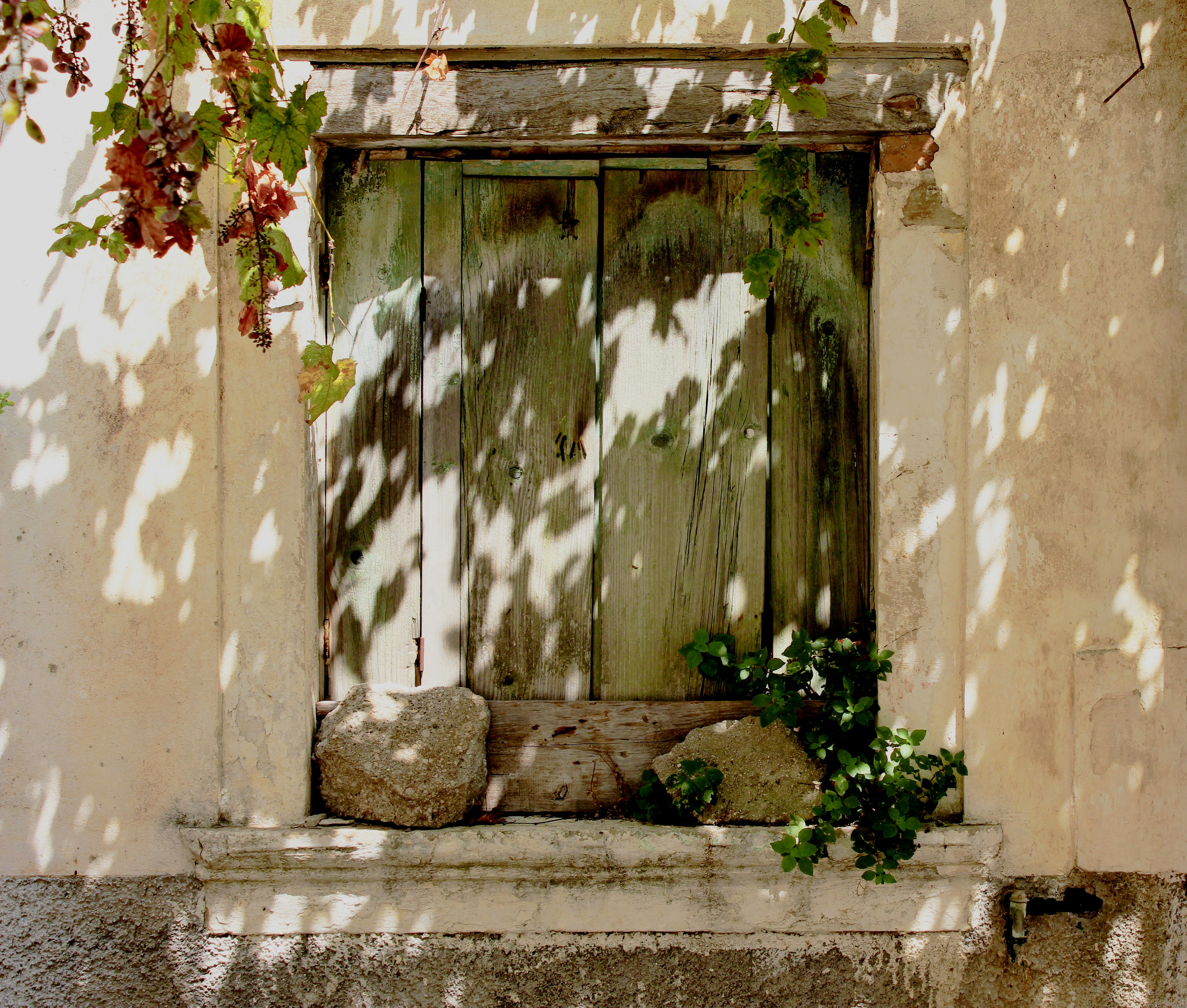 Photo by yer_a_wizard