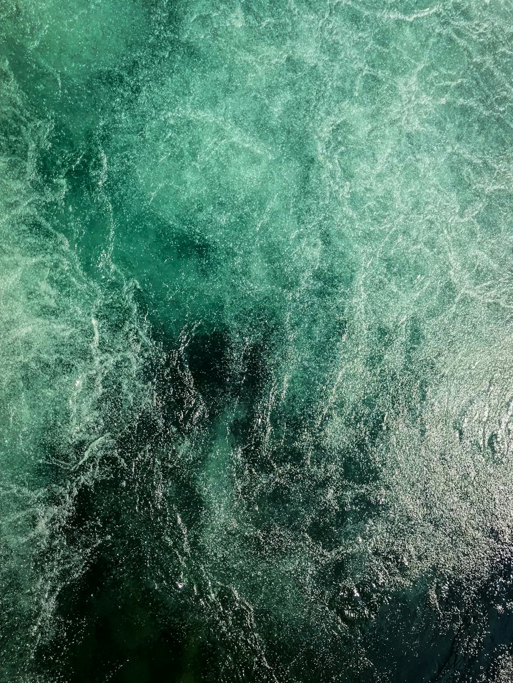 green body of water wallpaper