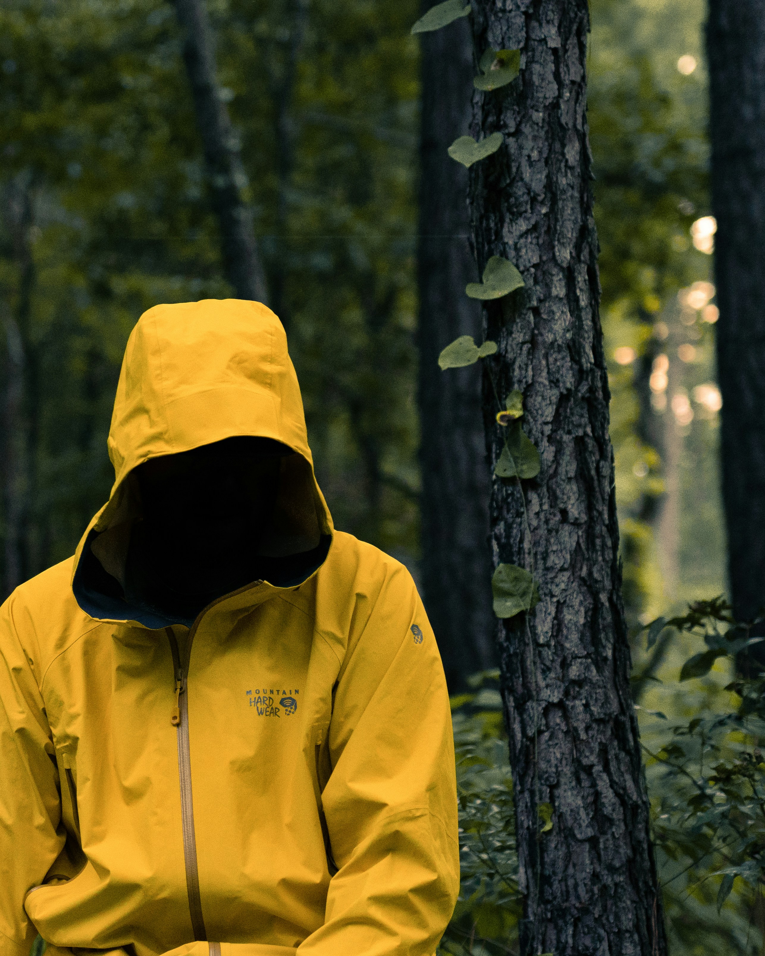 AWX Part 2 - Single Sign-On