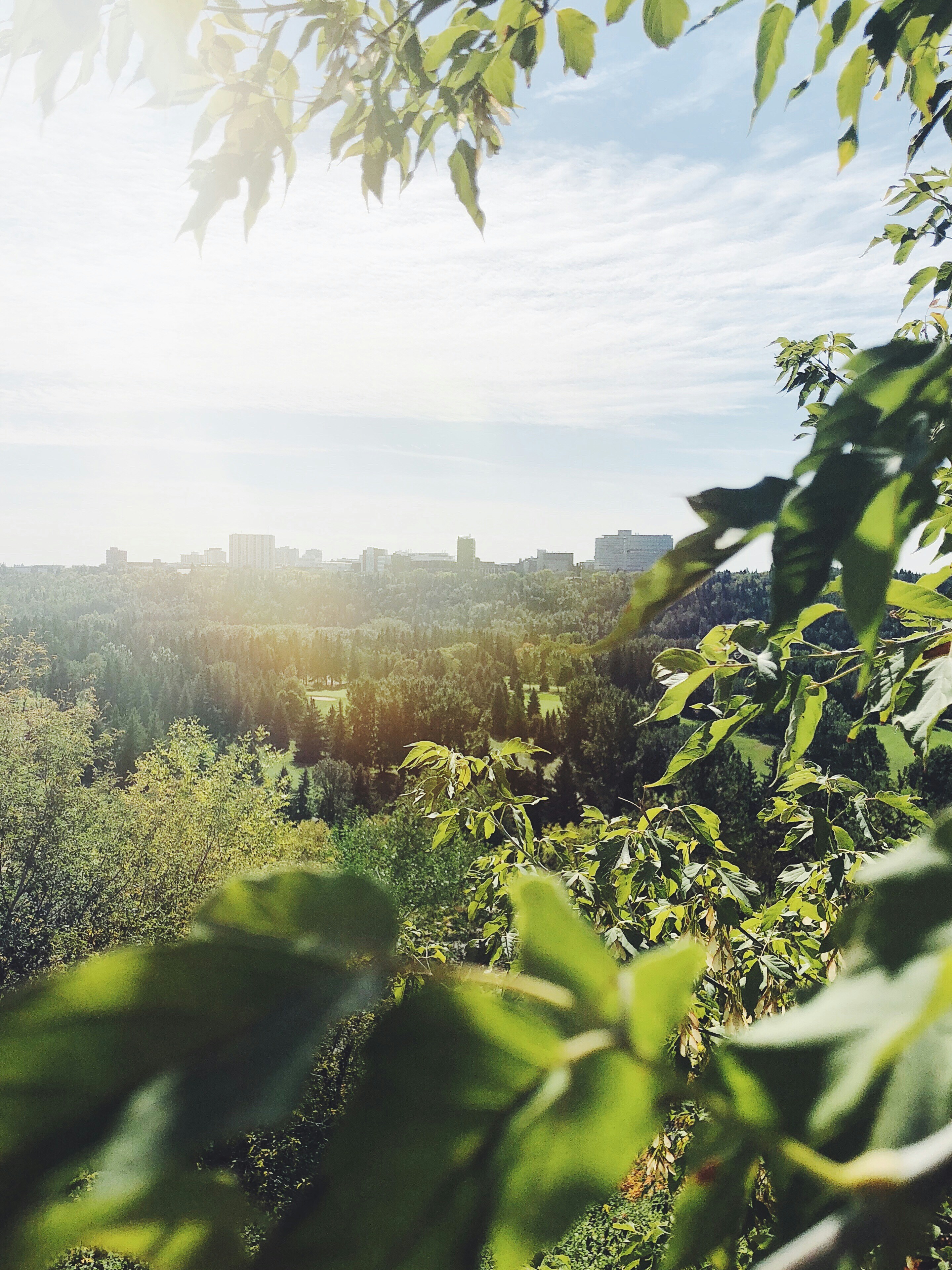 Edmonton skyline seen across the green North Saskatchewan River valley