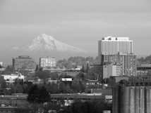 A black and white cityscape with a prominent snow-capped mountain in the background. Tall, modern buildings are in the foreground, with a mix of residential and commercial architecture. Trees and smaller structures are scattered throughout the city. The sky is overcast, adding a muted, serene quality to the scene.