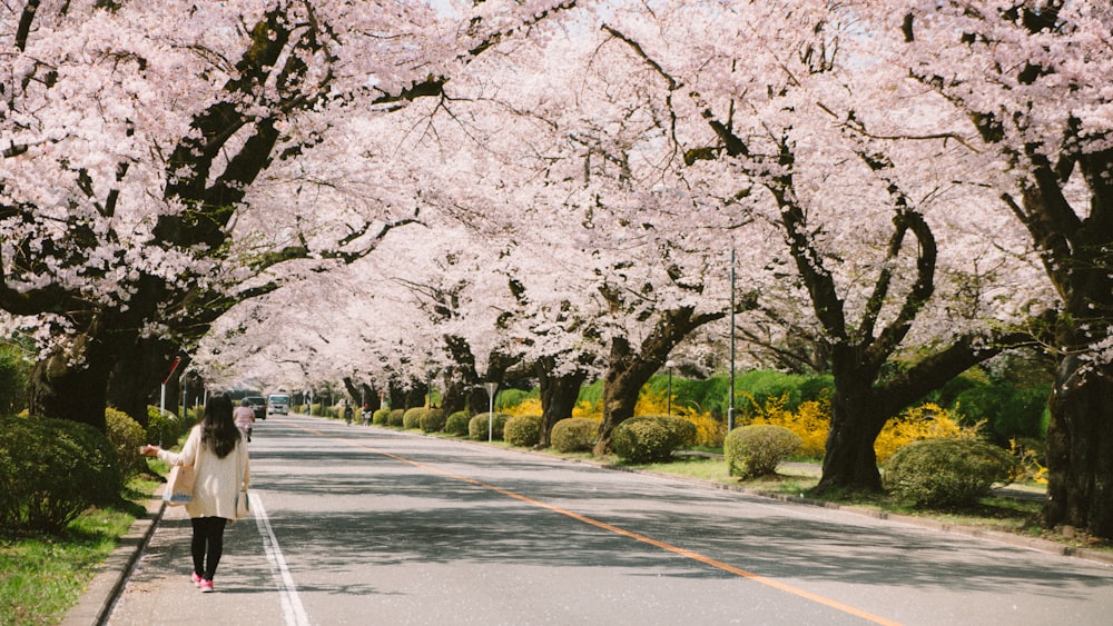 woman walking beside street