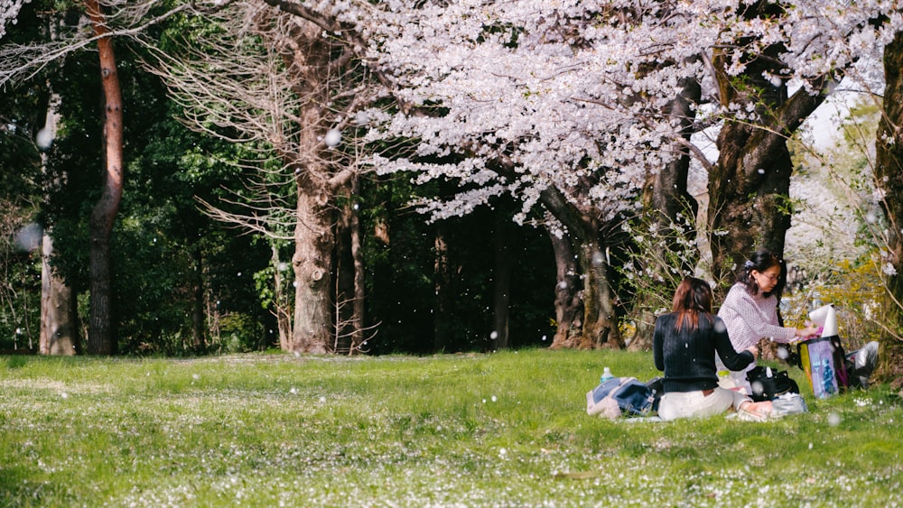 two women sitting under cherry blossom tree