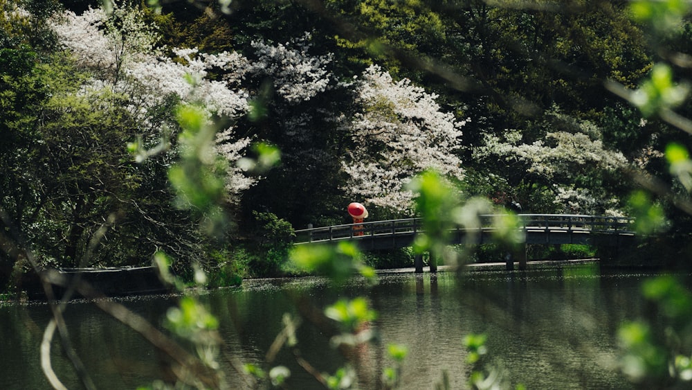 selective focus photography of woman holding umbrella on bridge