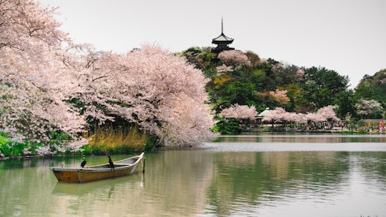 row boat on body of water in Sankei-en Japan