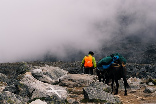 person hiking beside black horse in SALKANTAY TRAIL PERU Peru