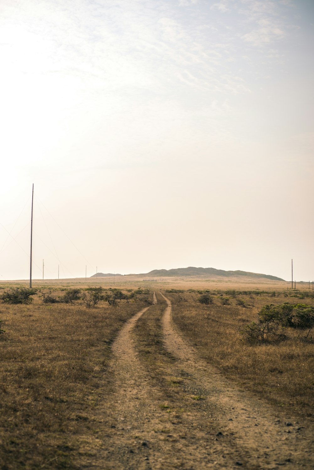 road between dried grass field