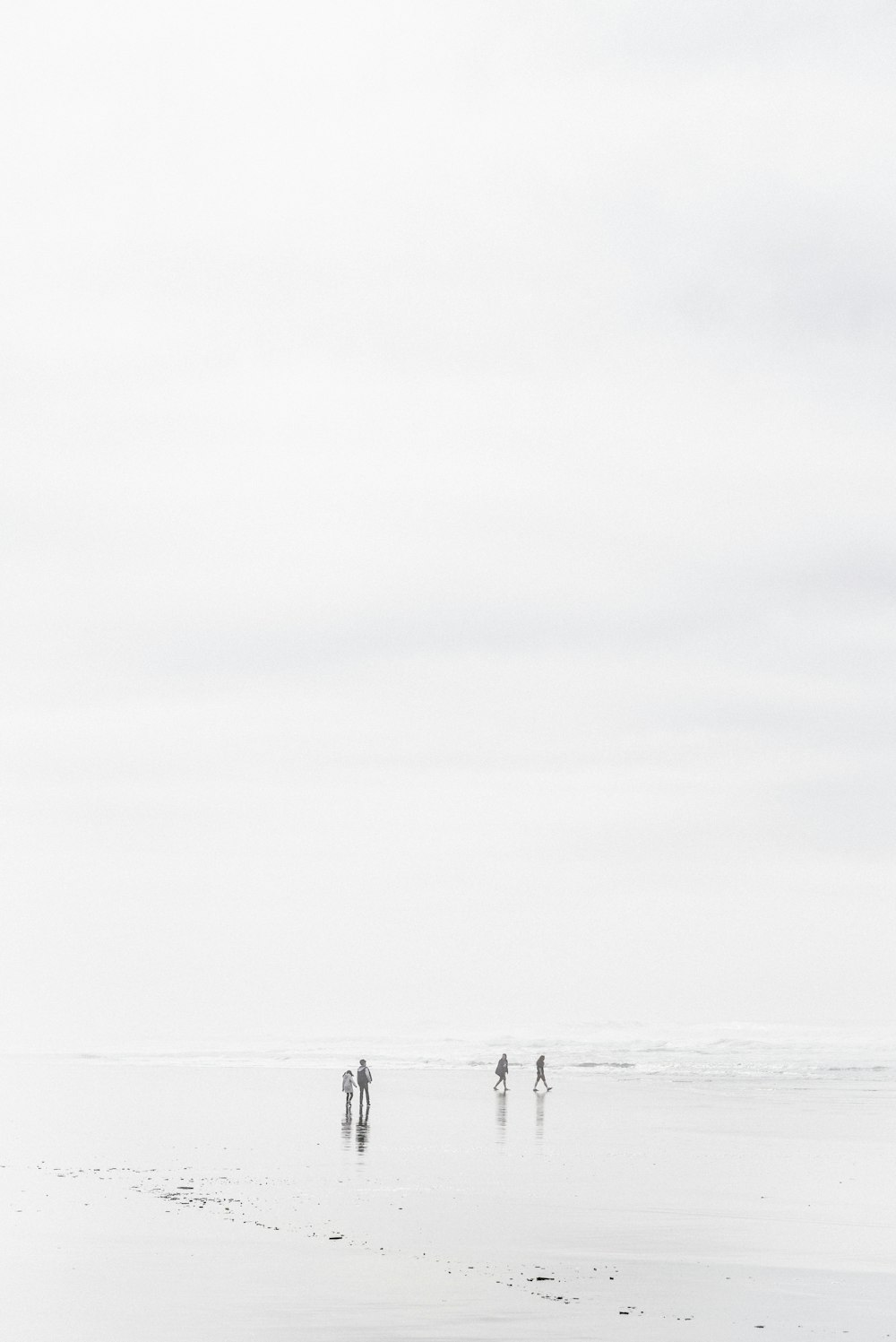 four person's walking near shoreline at daytime