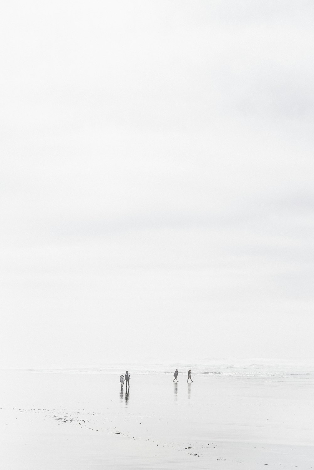 quatre personnes marchant près du rivage pendant la journée