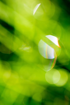 Blurred green background with abstract shapes and bokeh effects. Light and soft focus create a dreamy, ethereal feel. A hint of rainbow coloration suggests lens reflections or light diffraction.