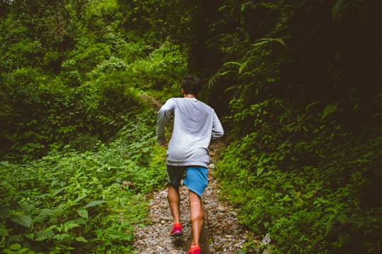 man running in forest in Dehradun India