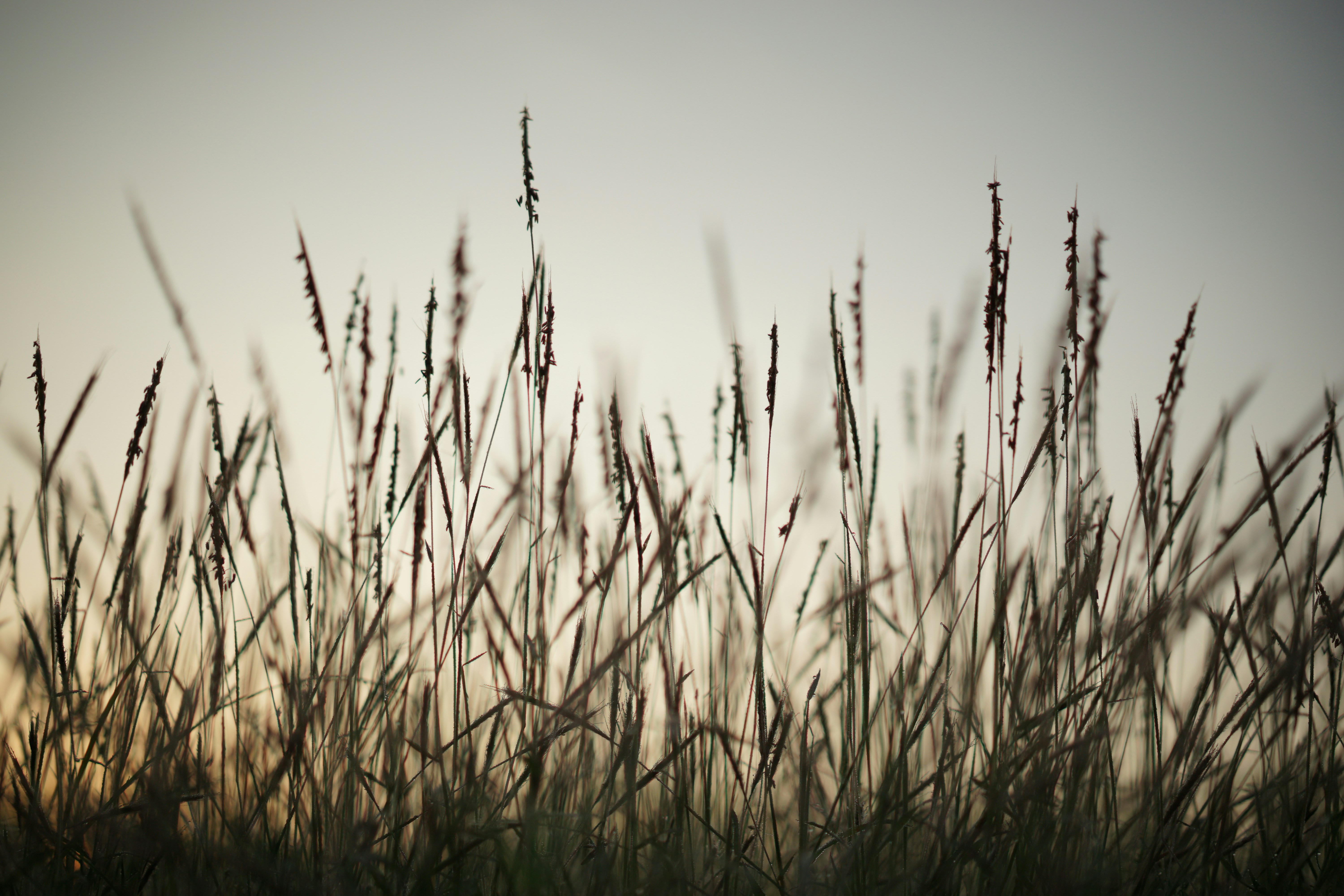 Photo by wardhanaaditya