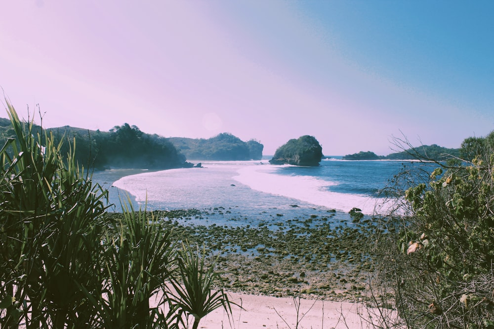 body of water near trees and islets