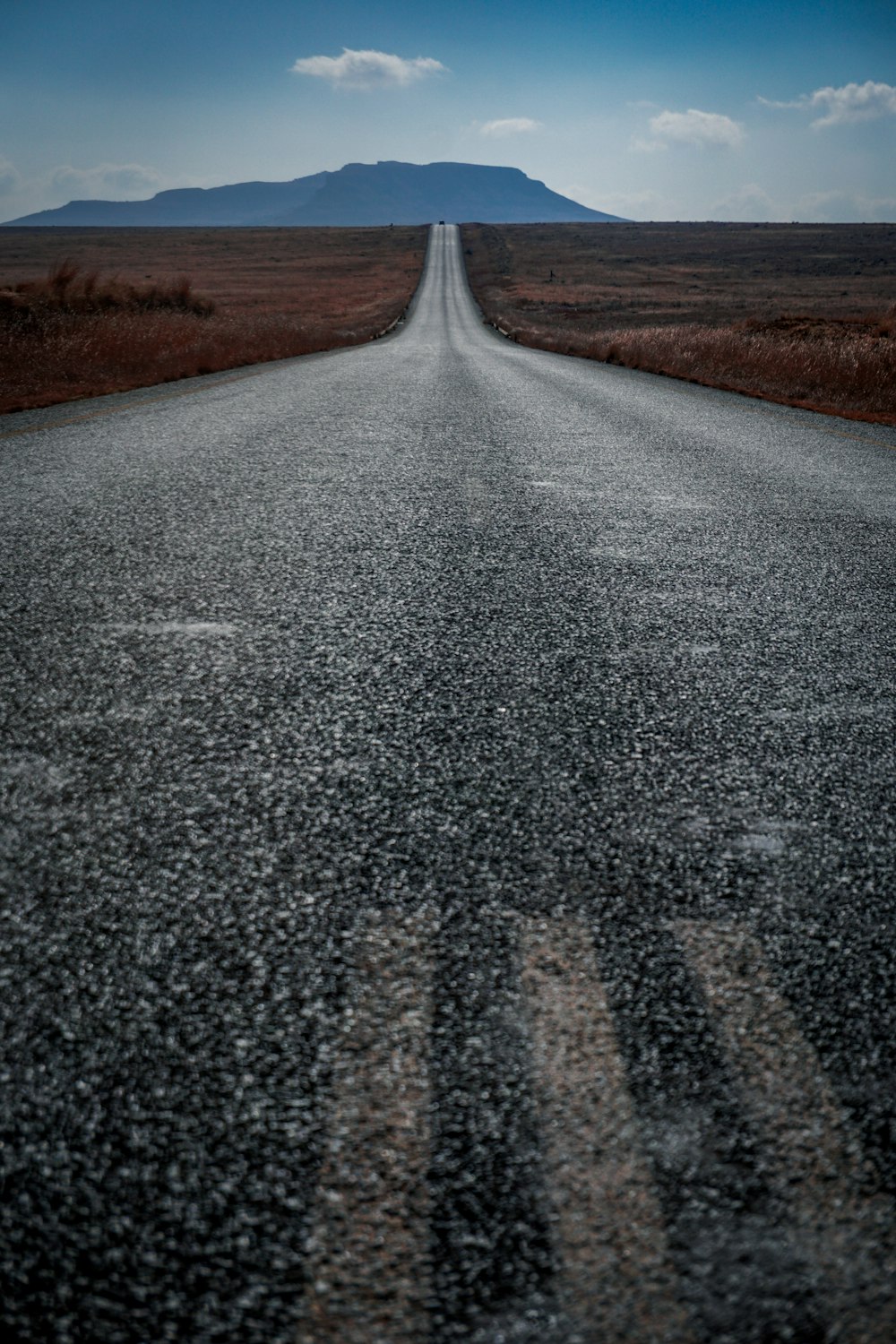 gray road between grass field at daytime