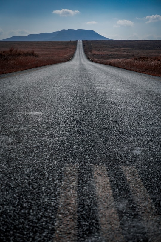 gray road between grass field at daytime in Golden Gate Highlands National Park South Africa