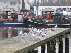 Premium Gillnet Mesh