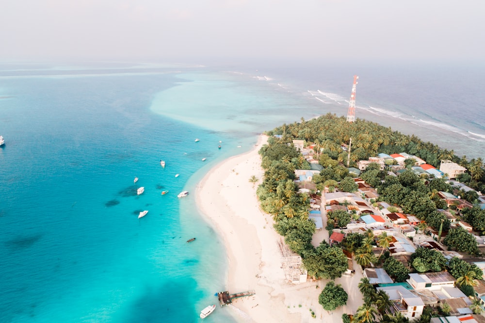 aerial view of beach during daytime