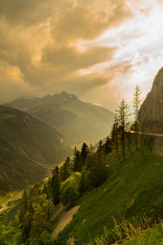 mountain near trees in Klausen Pass Switzerland