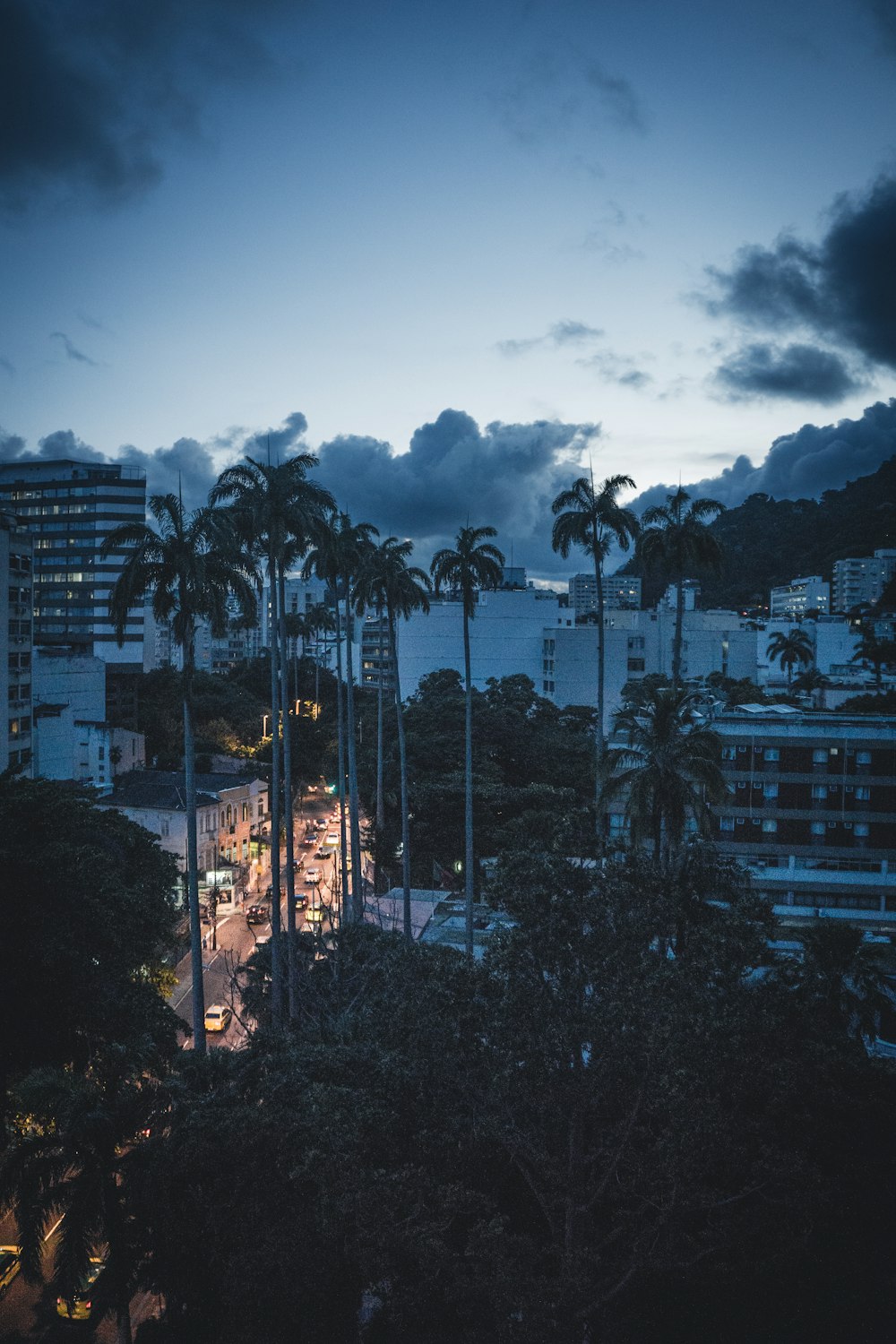 silhueta de coqueiros e edifícios