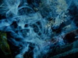 A bubbling cauldron with herbs and smoke rising above.