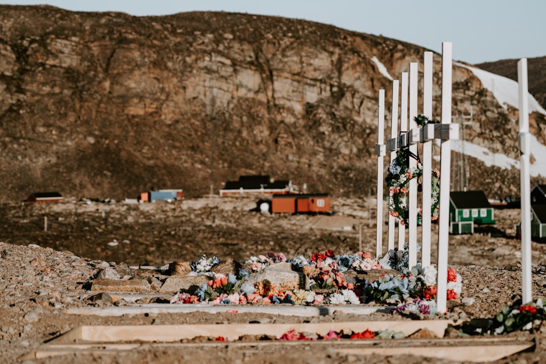 white poles planted on ground