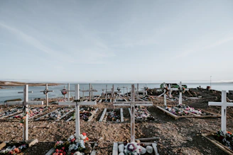 A serene outdoor memorial service with soft music playing in the background.