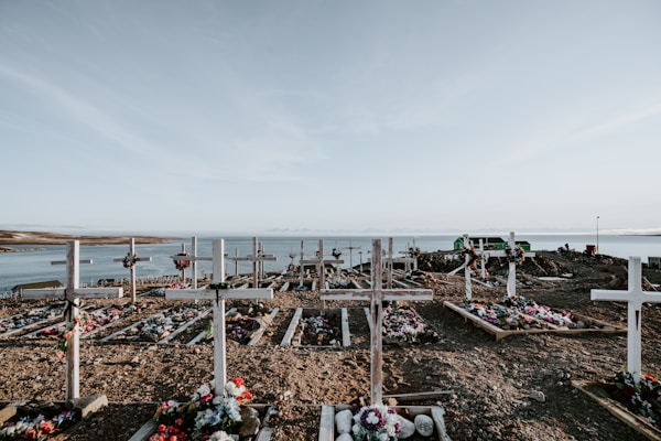 A serene cemetery overlooking a calm body of water. Rows of graves are marked by wooden crosses and adorned with colorful flowers. There is a small green building in the distance and a clear blue sky.