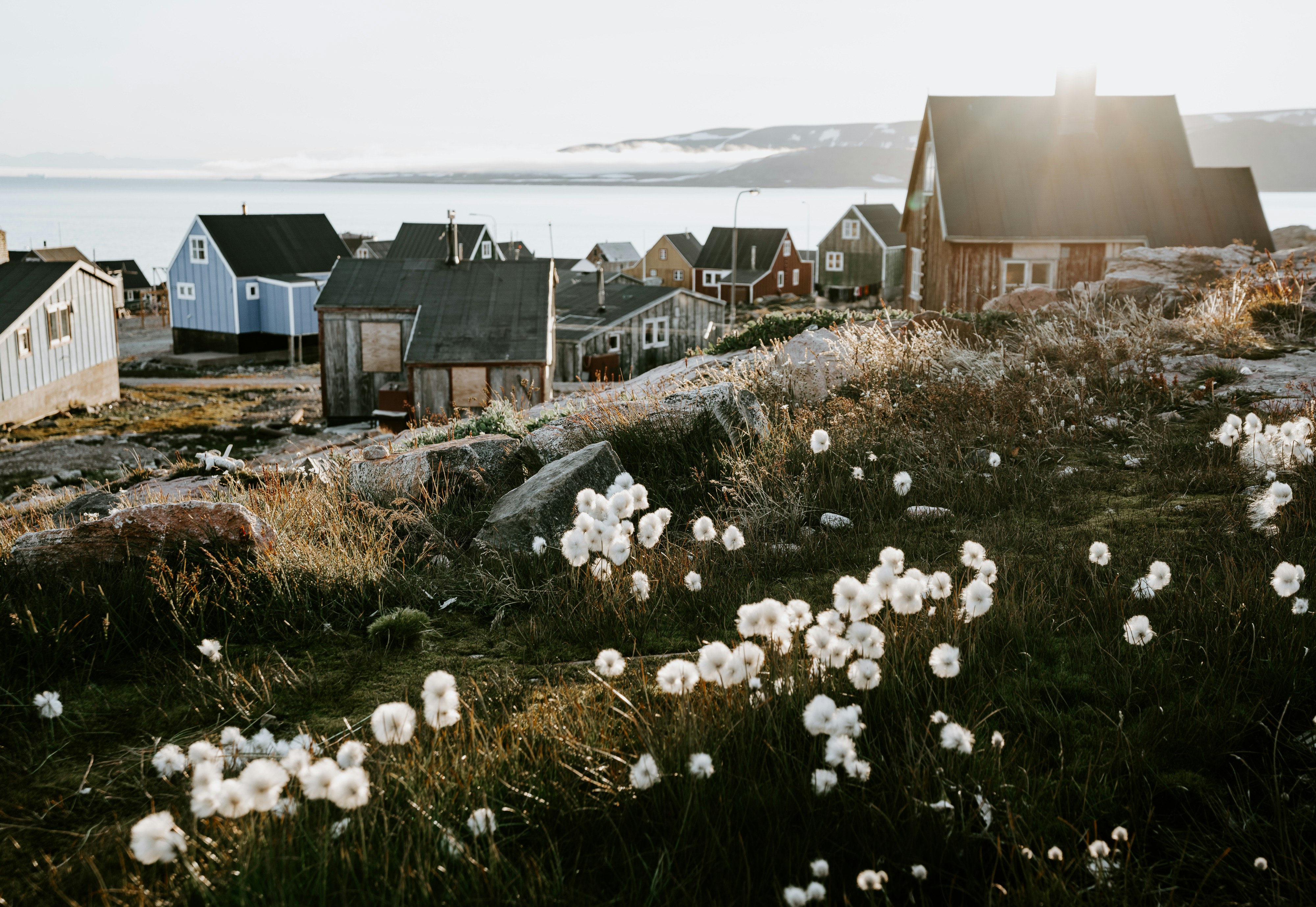 brown and blue wooden houses