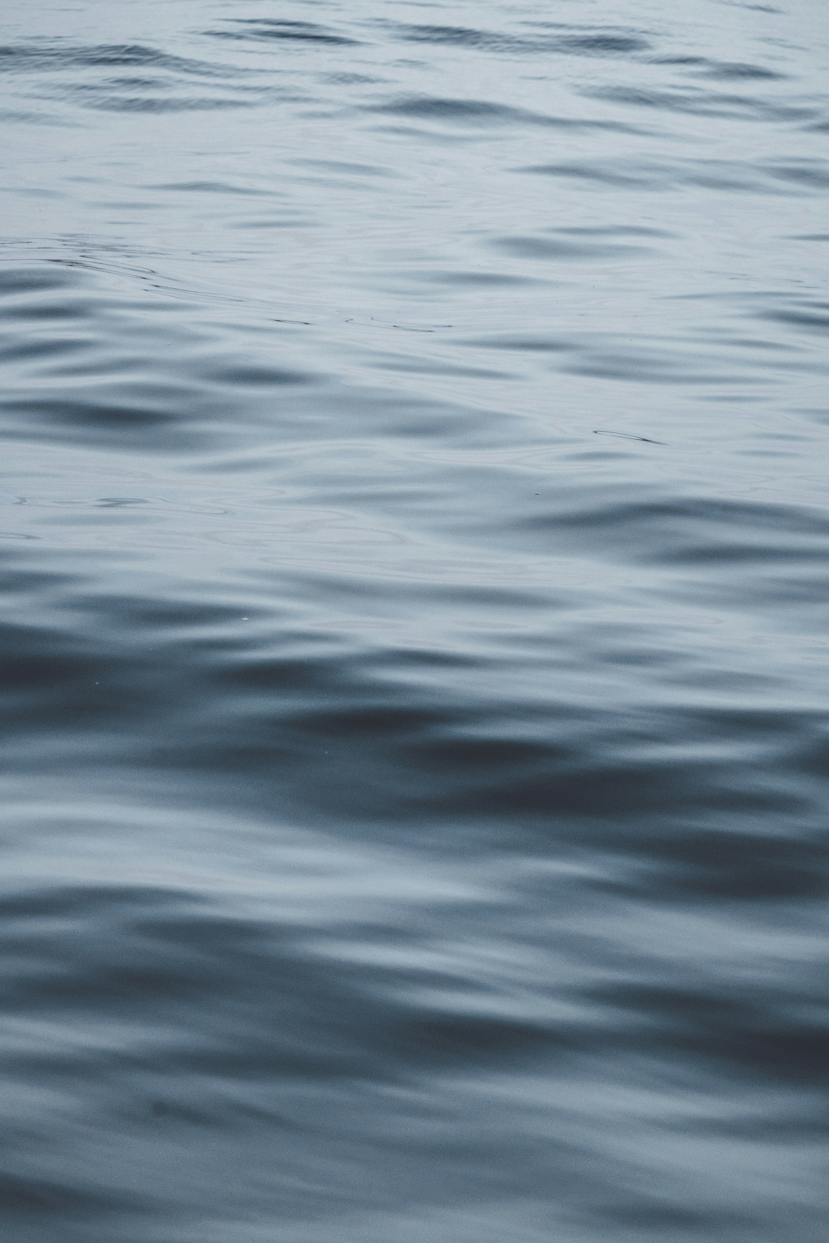 Photo by anniespratt