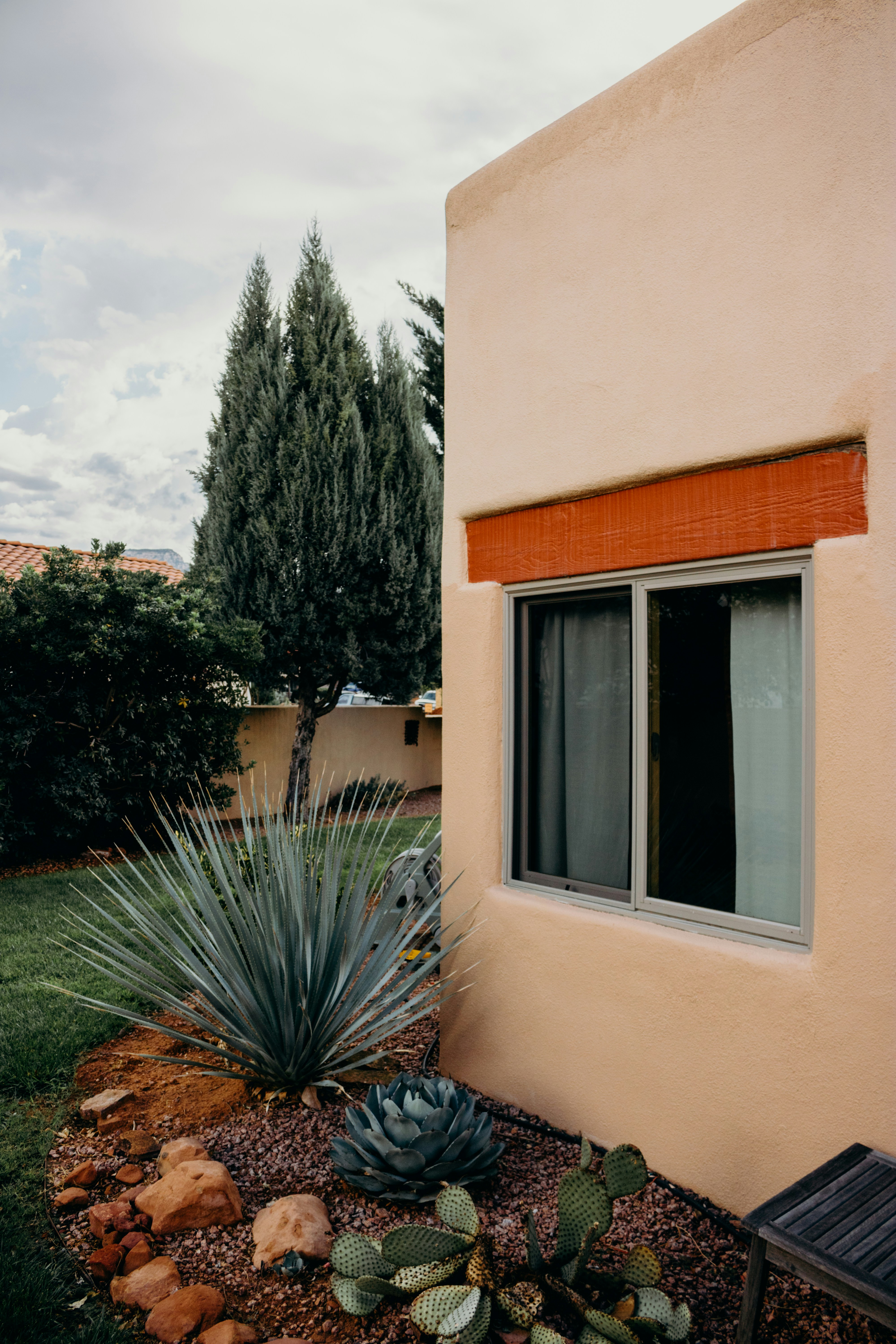 planta verde de folhas longas