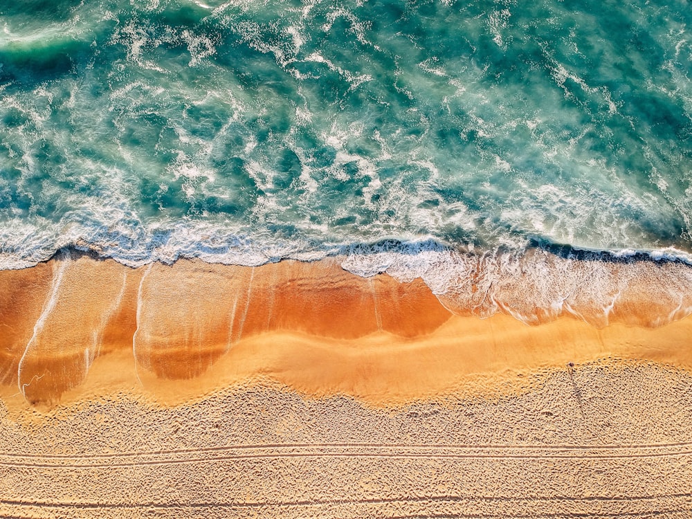 birds-eye photo of seashore