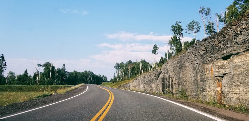 gray and white road near green tree lot